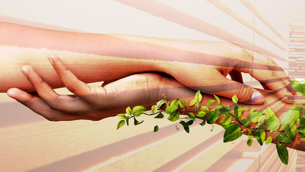 sostenibilità banacali ribo pallets